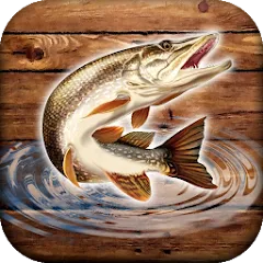 Взломанная Fish rain: sport fishing  [МОД Mega Pack] - стабильная версия apk на Андроид