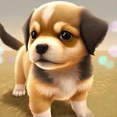 Скачать взлом Dog Town: Puppy Pet Shop Games (Догтаун)  [МОД Много монет] - стабильная версия apk на Андроид
