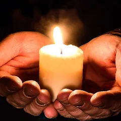 Взломанная Cozy Words  [МОД Unlimited Money] - стабильная версия apk на Андроид