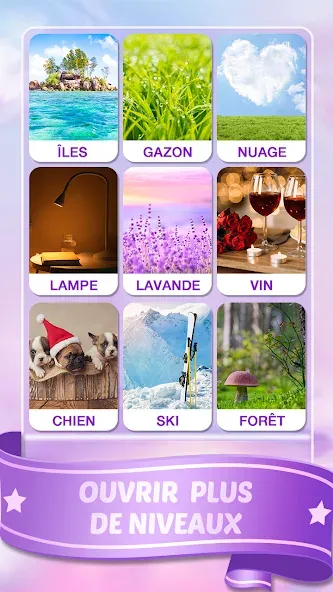 Mots Malins - Jeu de mots pro (Мо Малинс)  [МОД Mega Pack] Screenshot 5