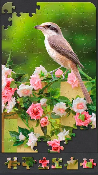 Jigsaw Puzzles for Adults  [МОД Unlocked] Screenshot 3