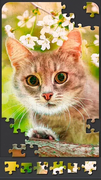 Jigsaw Puzzles for Adults  [МОД Unlocked] Screenshot 5