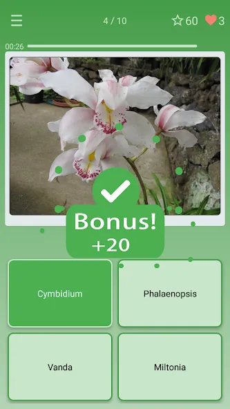 Quiz: Flowers, Plants  [МОД Бесконечные монеты] Screenshot 2