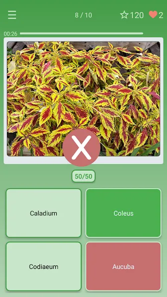 Quiz: Flowers, Plants  [МОД Бесконечные монеты] Screenshot 3